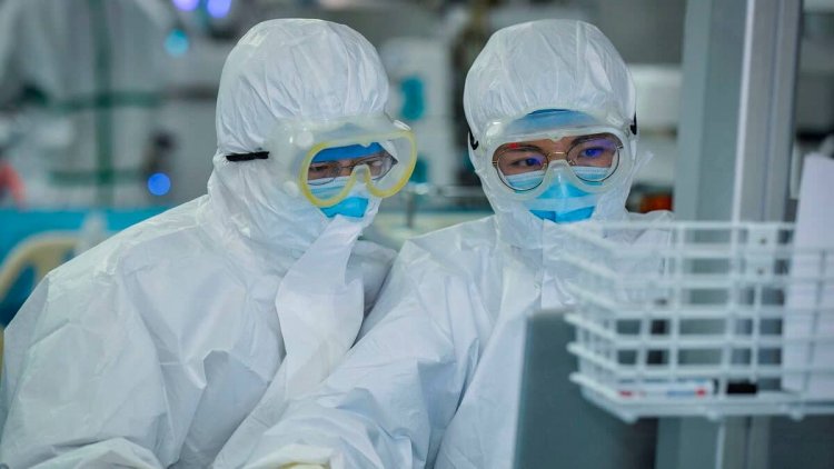 China confirms first human case of bird flu strain