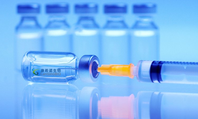 Inhaled COVID-19 vaccine prevents disease, virus transmission in animals: Study